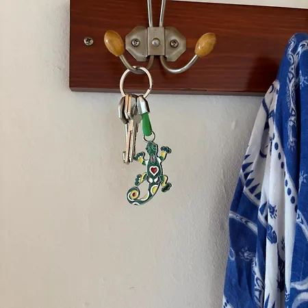 Appartement Casa Salamandra